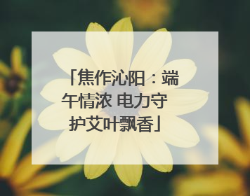 焦作沁阳：端午情浓 电力守护艾叶飘香
