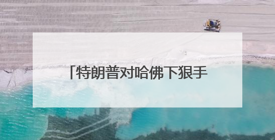 特朗普对哈佛下狠手，比利时未来女王受牵连？比王室：正研判