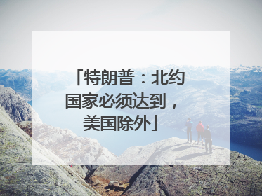 特朗普：北约国家必须达到，美国除外