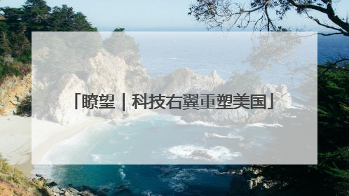 瞭望｜科技右翼重塑美国