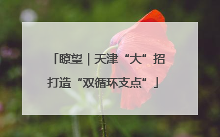 瞭望｜天津“大”招打造“双循环支点”