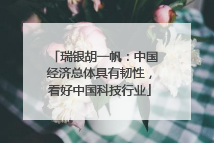 瑞银胡一帆：中国经济总体具有韧性，看好中国科技行业
