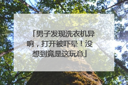 男子发现洗衣机异响，打开被吓晕！没想到竟是这玩意