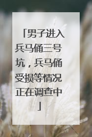 男子进入兵马俑三号坑，兵马俑受损等情况正在调查中