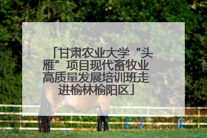 甘肃农业大学“头雁”项目现代畜牧业高质量发展培训班走进榆林榆阳区