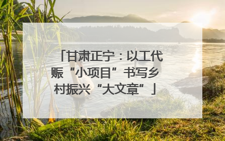 甘肃正宁：以工代赈“小项目”书写乡村振兴“大文章”