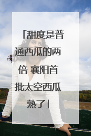 甜度是普通西瓜的两倍 襄阳首批太空西瓜熟了