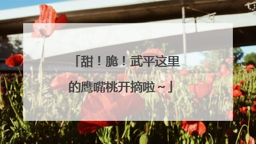 甜！脆！武平这里的鹰嘴桃开摘啦～