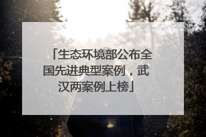 生态环境部公布全国先进典型案例，武汉两案例上榜