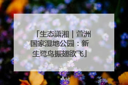 生态潇湘｜萱洲国家湿地公园：新生鹭鸟振翅欲飞