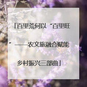 百里荒何以“百里旺”——农文旅融合赋能乡村振兴三部曲
