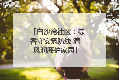 白沙湾社区：粽香守安筑防线 清风润廉护家园