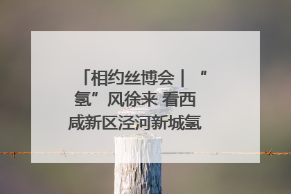 相约丝博会｜“氢”风徐来 看西咸新区泾河新城氢能产业聚链成势