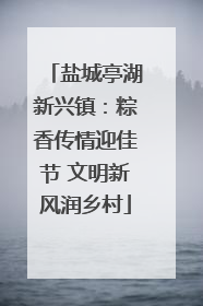 盐城亭湖新兴镇：粽香传情迎佳节 文明新风润乡村