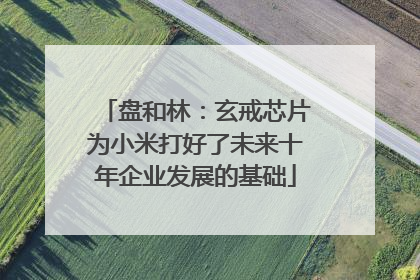 盘和林：玄戒芯片为小米打好了未来十年企业发展的基础