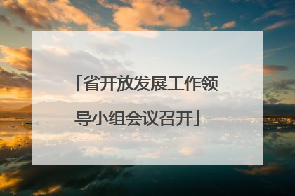省开放发展工作领导小组会议召开