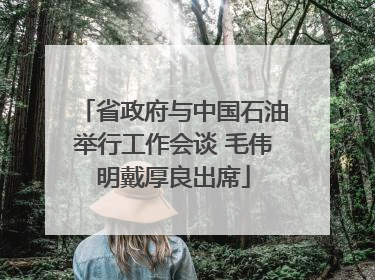 省政府与中国石油举行工作会谈 毛伟明戴厚良出席