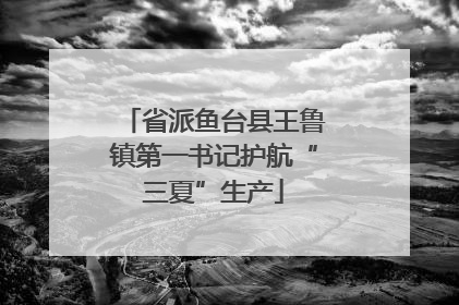 省派鱼台县王鲁镇第一书记护航“三夏”生产