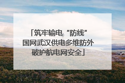 筑牢输电“防线” 国网武汉供电多维防外破护航电网安全
