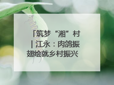 筑梦“湘”村｜江永：肉鸽振翅绘就乡村振兴“金羽画卷”