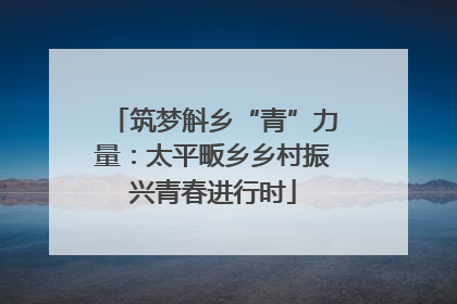 筑梦斛乡“青”力量：太平畈乡乡村振兴青春进行时