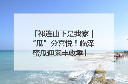 祁连山下是我家｜“瓜”分喜悦！临泽蜜瓜迎来丰收季