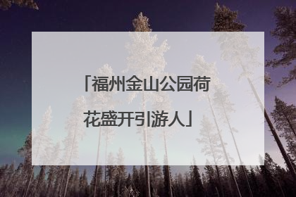 福州金山公园荷花盛开引游人