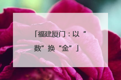 福建厦门：以“数”换“金”