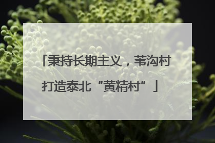 秉持长期主义，苇沟村打造泰北“黄精村”