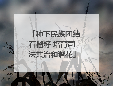 种下民族团结石榴籽 培育司法共治和谐花