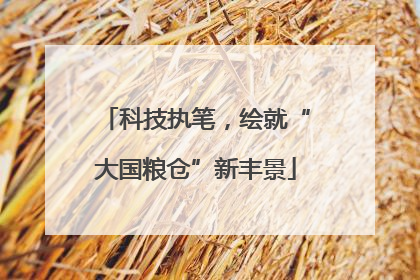科技执笔，绘就“大国粮仓”新丰景