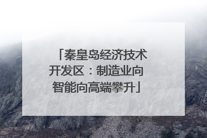 秦皇岛经济技术开发区：制造业向智能向高端攀升