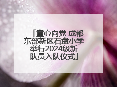 童心向党 成都东部新区石盘小学举行2024级新队员入队仪式