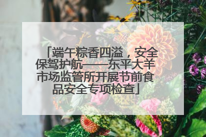 端午粽香四溢，安全保驾护航——东平大羊市场监管所开展节前食品安全专项检查