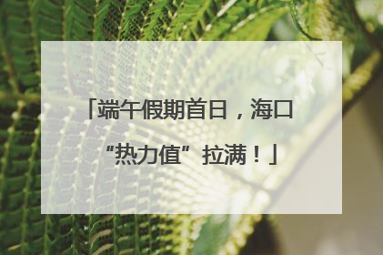 端午假期首日，海口“热力值”拉满！