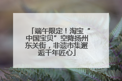 端午限定！淘宝“中国宝贝”空降扬州东关街，非遗市集邂逅千年匠心