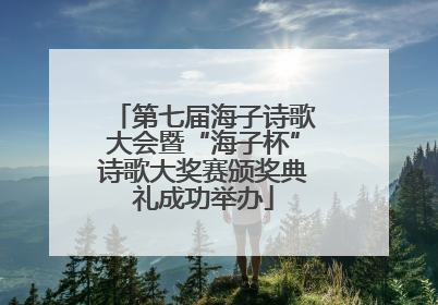 第七届海子诗歌大会暨“海子杯”诗歌大奖赛颁奖典礼成功举办