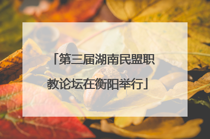 第三届湖南民盟职教论坛在衡阳举行