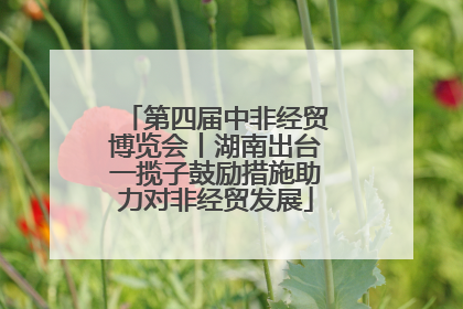 第四届中非经贸博览会丨湖南出台一揽子鼓励措施助力对非经贸发展