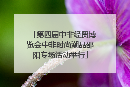 第四届中非经贸博览会中非时尚潮品邵阳专场活动举行