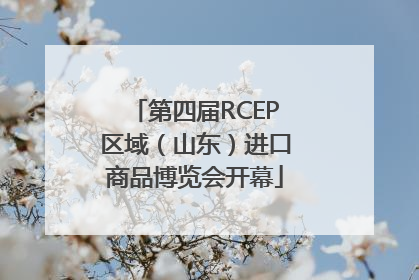 第四届RCEP区域（山东）进口商品博览会开幕