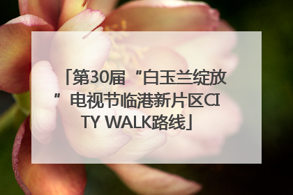 第30届“白玉兰绽放”电视节临港新片区CITY WALK路线