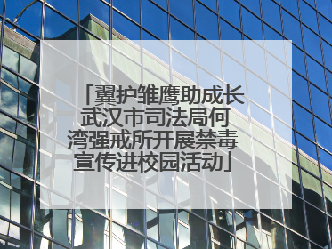 翼护雏鹰助成长 武汉市司法局何湾强戒所开展禁毒宣传进校园活动