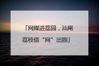 网媒进荔园，汕尾荔枝借“网”出圈