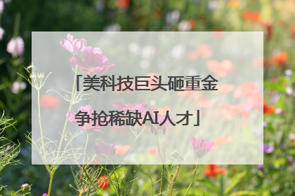 美科技巨头砸重金争抢稀缺AI人才