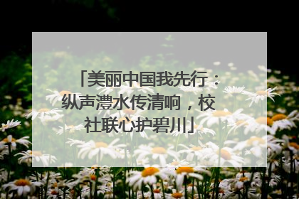 美丽中国我先行：纵声澧水传清响，校社联心护碧川