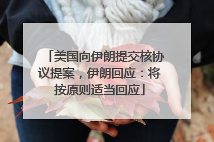 美国向伊朗提交核协议提案，伊朗回应：将按原则适当回应