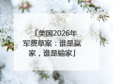 美国2026年军费草案：谁是赢家，谁是输家