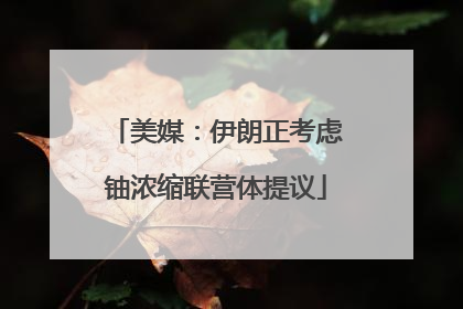 美媒：伊朗正考虑铀浓缩联营体提议