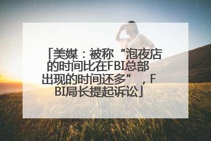 美媒：被称“泡夜店的时间比在FBI总部出现的时间还多”，FBI局长提起诉讼